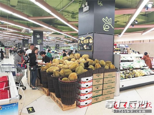榴蓮成為不少長沙市民水果籃里的新主角。長沙晚報全媒體記者 劉捷萍 攝