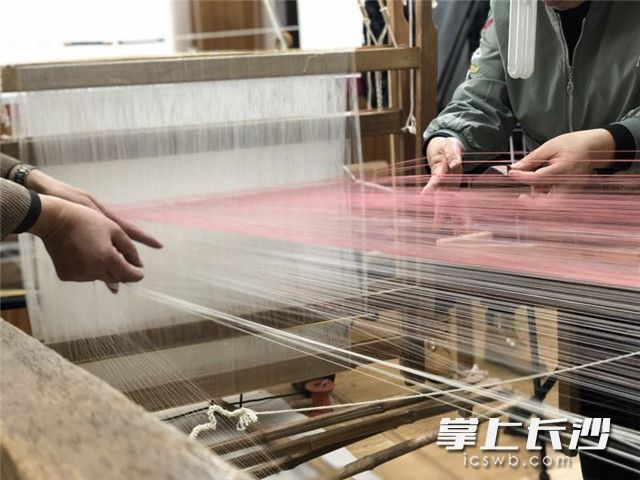 楊建順大師和助手正在機(jī)臺上整理經(jīng)面,。