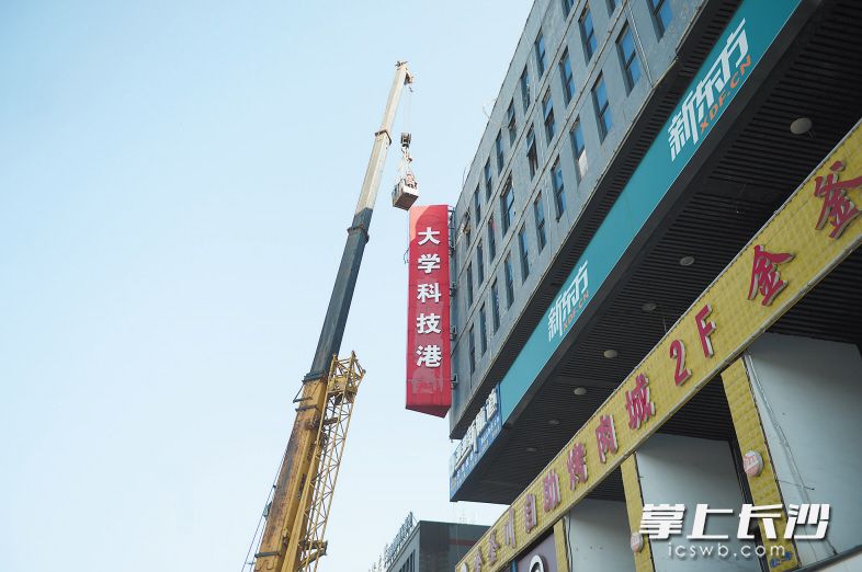 近日,，岳麓區(qū)城管執(zhí)法人員組織對(duì)阜埠河路沿線違規(guī)戶外招牌進(jìn)行拆除,。長沙晚報(bào)記者余劭劼 攝
