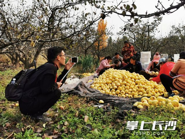 原產(chǎn)地基地直播更是其特色