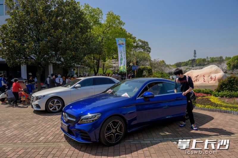 在湖南省森林植物園開幕式現(xiàn)場(chǎng),，郁金香,、早櫻競(jìng)相開放，名車聯(lián)展也已同步開啟,，讓市民賞花賞車兩不誤,。