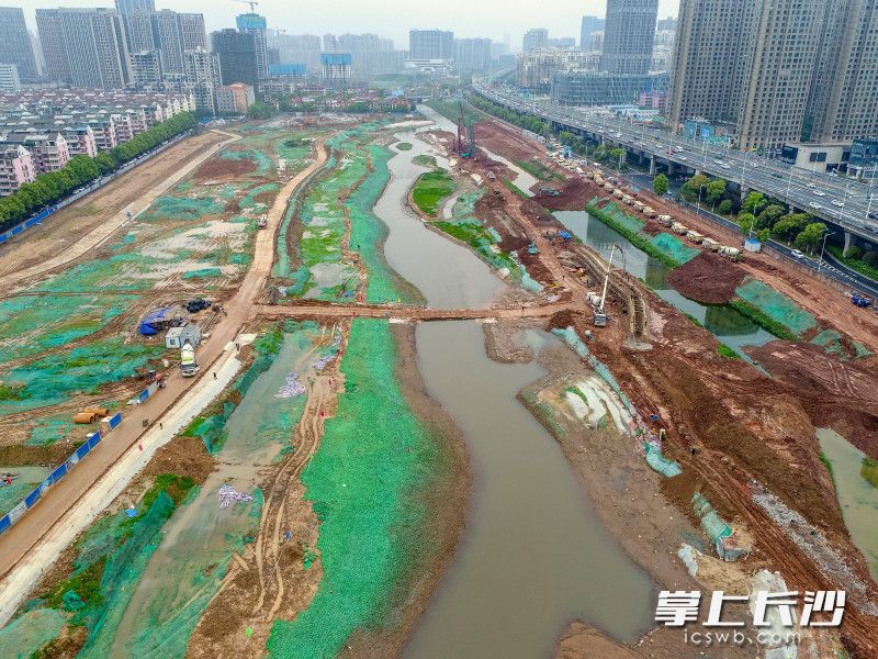 近日,，圭塘河井塘段新舊河段換水工程正式完成,，新河道蜿蜒曲折，顯得十分靈動生趣,。均為長沙晚報全媒體記者 陳飛 攝