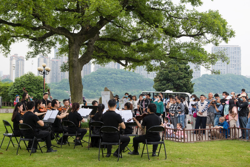 5月1日上午，2020年長沙市“百村千場文化進萬家”文藝演出進景區(qū)夏之戀·橘子洲假日音樂會在橘子洲頭景區(qū)上演，自由開放的戶外音樂會展現(xiàn)出的特殊魅力讓人流連忘返,。鄒麟 攝