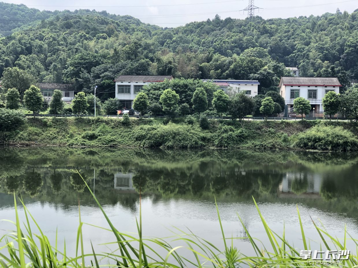 含泰社區(qū)一角，村民生活在綠樹掩映的環(huán)境中,，這里山青翠,、水清澈。 長(zhǎng)沙晚報(bào)全媒體記者 錢娟