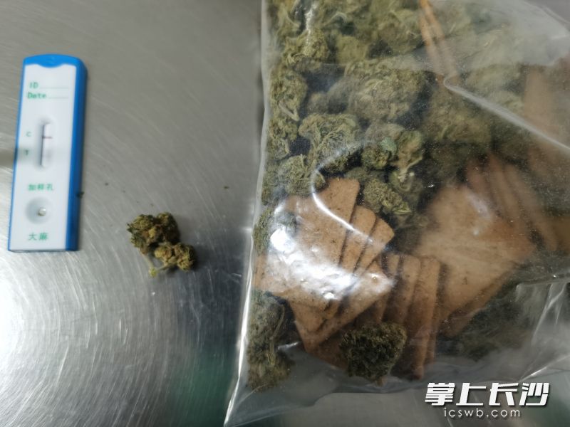 圖為長沙海關(guān)工作人員查獲的走私大麻。長沙海關(guān)供圖