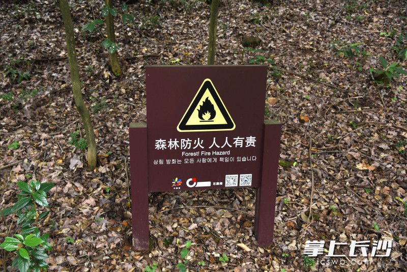 景區(qū)設(shè)置多處森林防火提示,，然而依然有人在林地內(nèi)抽煙,。長(zhǎng)沙晚報(bào)全媒體記者 劉琦 攝