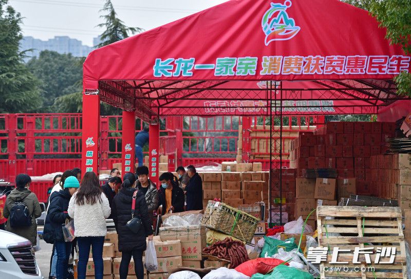 1月20日，長(zhǎng)沙啟動(dòng)為期半個(gè)月的“情滿瀟湘 愛(ài)購(gòu)龍山”愛(ài)心助農(nóng)志愿服務(wù)活動(dòng),，愛(ài)心人士們紛紛購(gòu)買(mǎi)來(lái)自湘西龍山的農(nóng)產(chǎn)品,，為龍山鄉(xiāng)親增收助力。 長(zhǎng)沙晚報(bào)全媒體記者 王志偉 攝