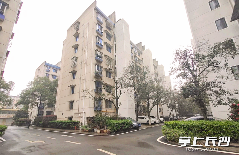 加裝電梯后的歡度佳節(jié)小區(qū)。全媒體記者周和平通訊員 劉珍