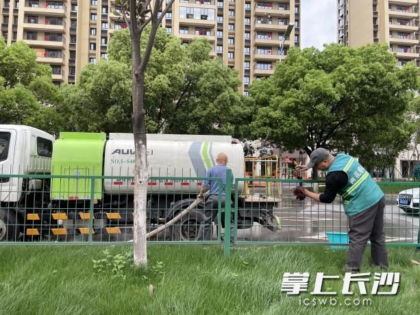 雨花區(qū)園林部門對中間分車帶護欄進行精細化清洗維護,。均由市城管委辦公室 供圖