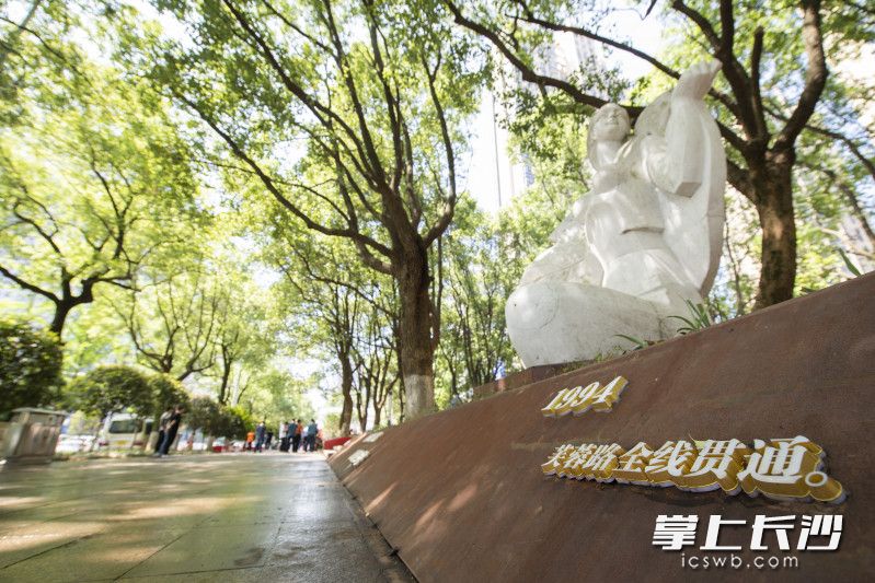 改造后的綠葉女廣場更加通透,。