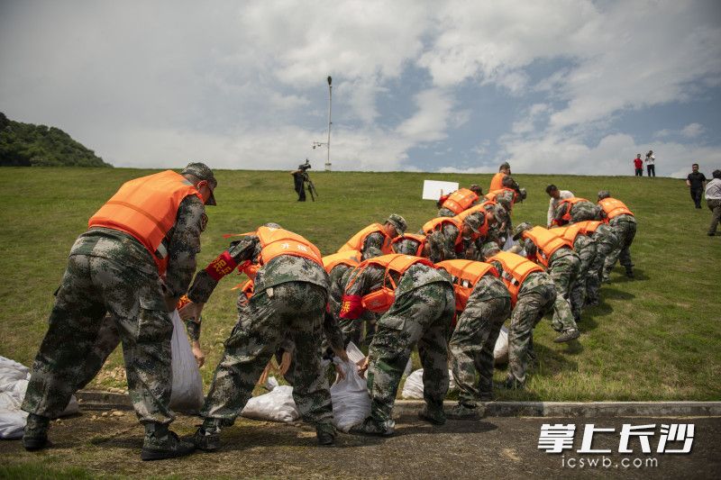 防汛演練中,，民兵快速搬運沙袋，處置險情,。均為長沙晚報全媒體記者 黃啟晴 攝
