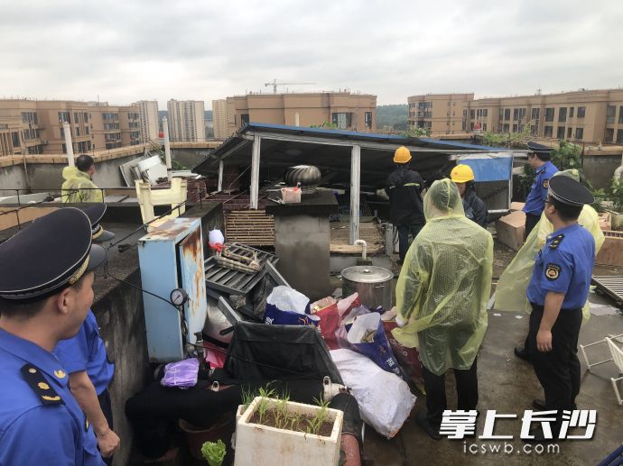 3日,，城管部門組織人員對違建鴿棚進(jìn)行拆除。均為通訊員 杜治銳 張華 供圖