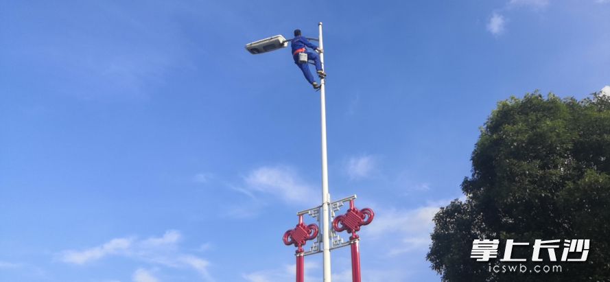 系上安全帶后,，施工人員借助腳扣一路攀爬至十余米高的桿頂,。通訊員 王松亮 攝