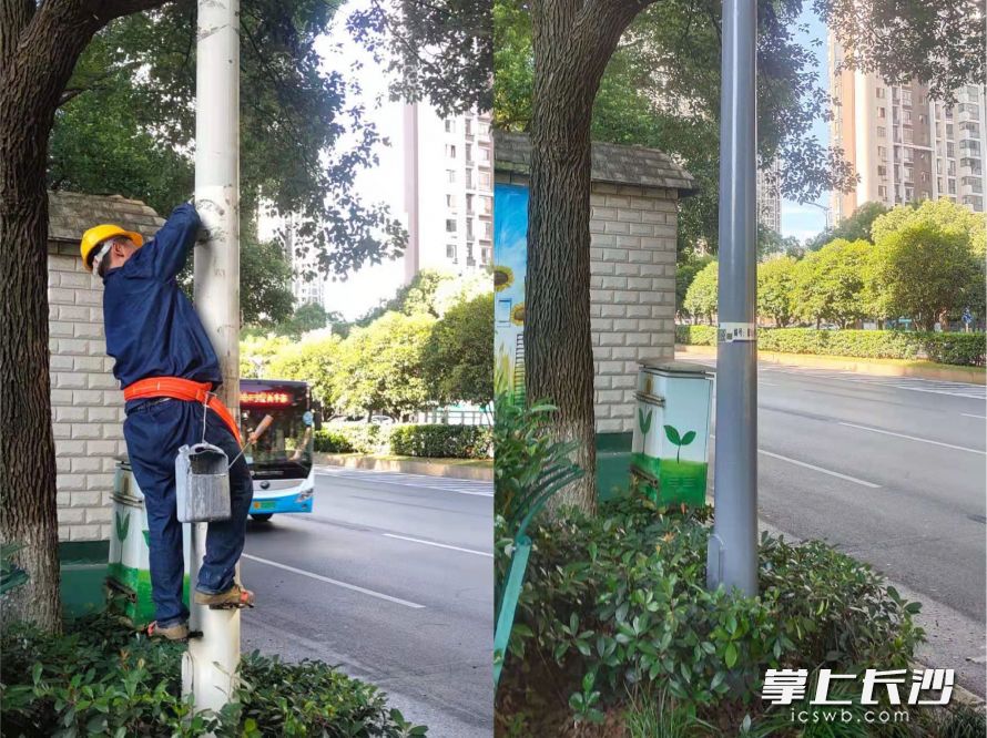 路燈桿涂刷前后對(duì)比。