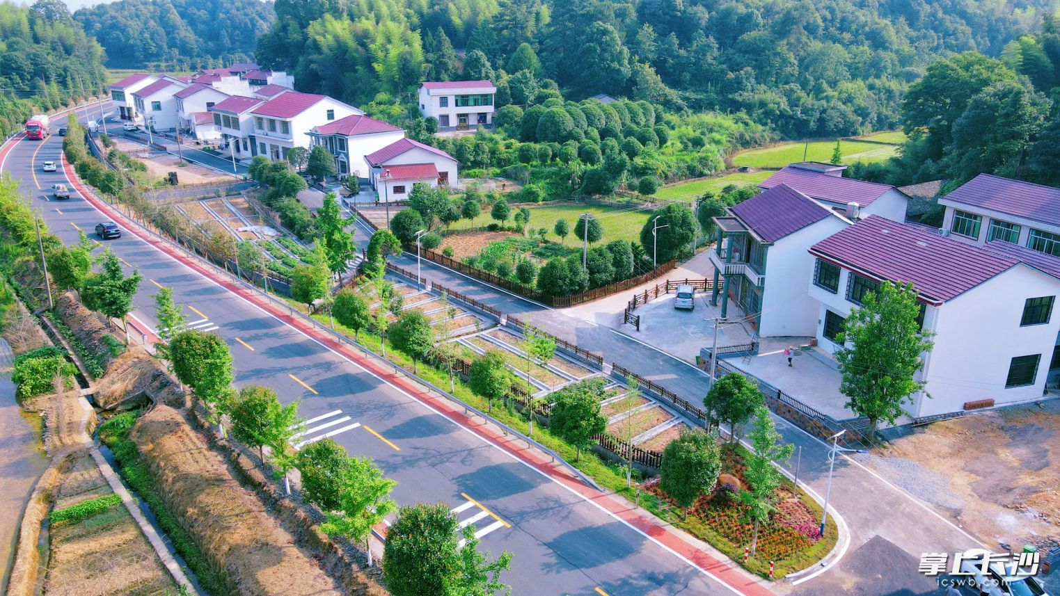 荷文公路提質(zhì)改造后，更顯“最美鄉(xiāng)村公路”的顏值和氣質(zhì),。圖為澄潭江鎮(zhèn)荊坪村蘆花屋場路段,。長沙晚報(bào)通訊員 黎超 攝