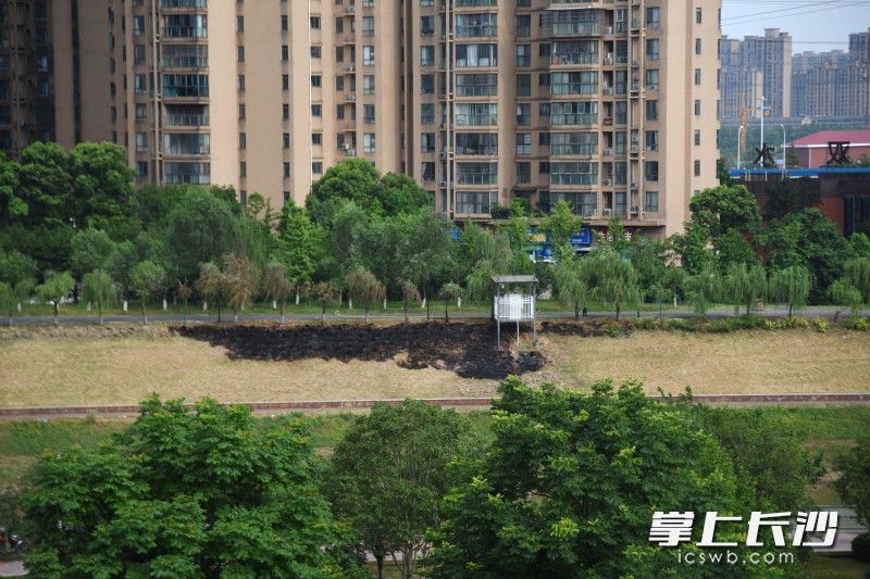 圖片均為長(zhǎng)沙晚報(bào)全媒體記者暗訪拍攝