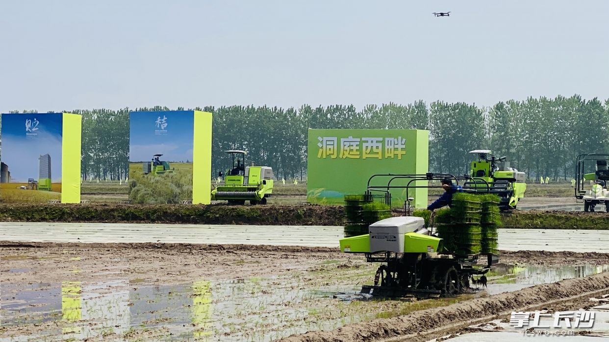 中聯(lián)重科的無人駕駛有序拋秧機(jī)在西洞庭忙碌春播,。  長沙晚報(bào)全媒體記者  周輝霞攝