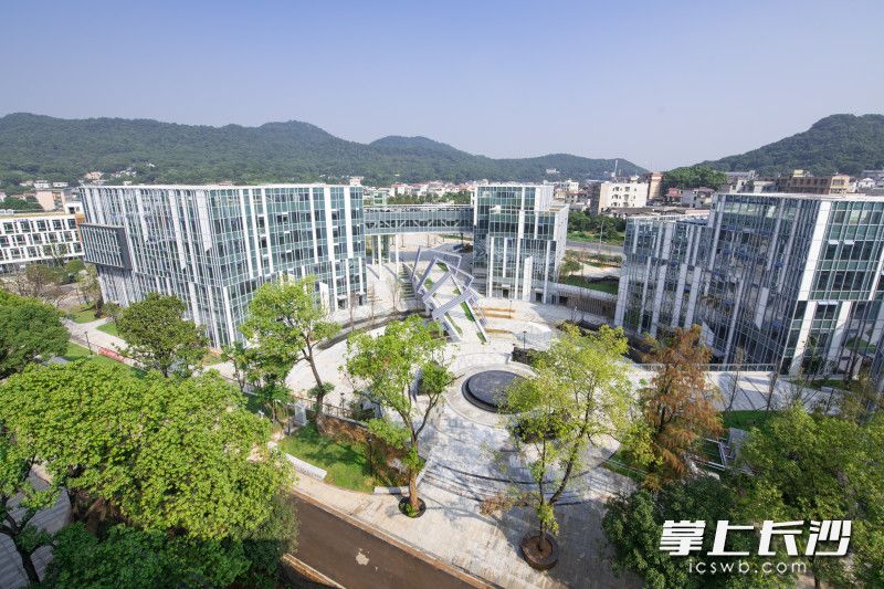 湘江科創(chuàng)基地一期目前共注冊(cè)企業(yè)73家，岳麓山下崛起了一處科創(chuàng)產(chǎn)業(yè)新高地。均為湘江集團(tuán)供圖