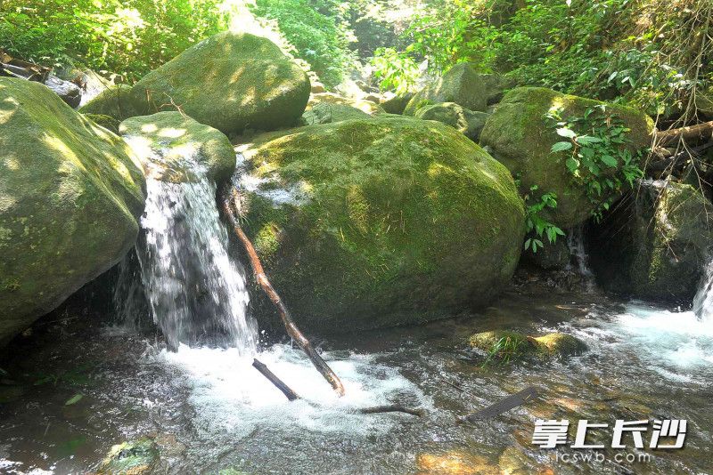 大圍山上溪水長流。