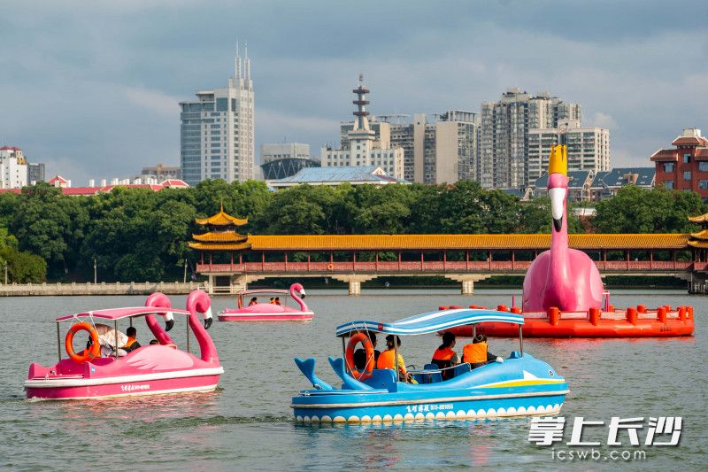 市民游客在烈士公園年嘉湖上泛舟,。長(zhǎng)沙晚報(bào)全媒體記者 劉曉敏 攝