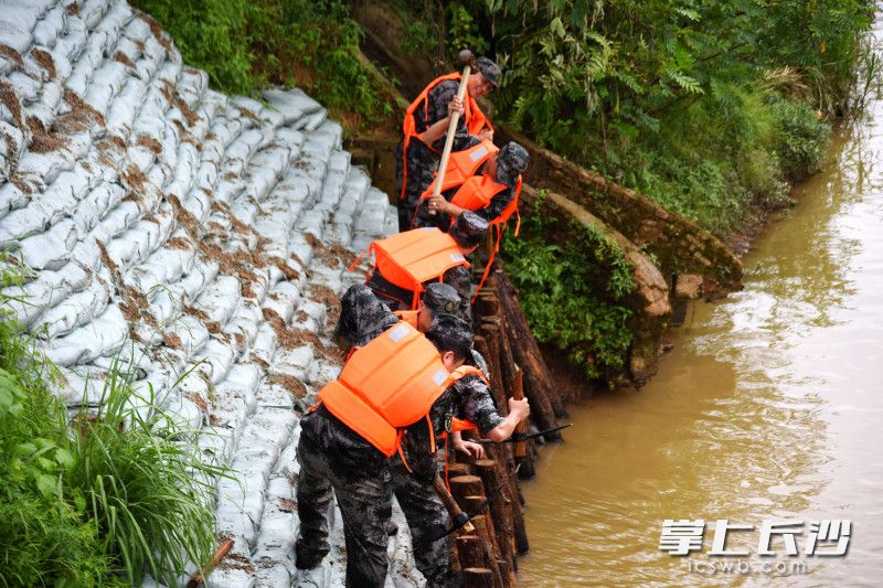 河堤固定小組緊急行動,，全力搶險,。長沙晚報全媒體記者 劉琦 攝