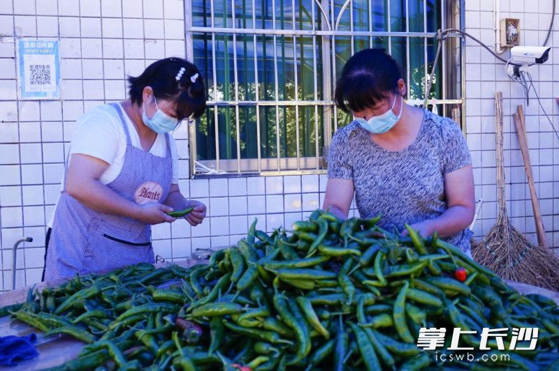 員工正在分揀辣椒。通訊員 王玉玥 攝
