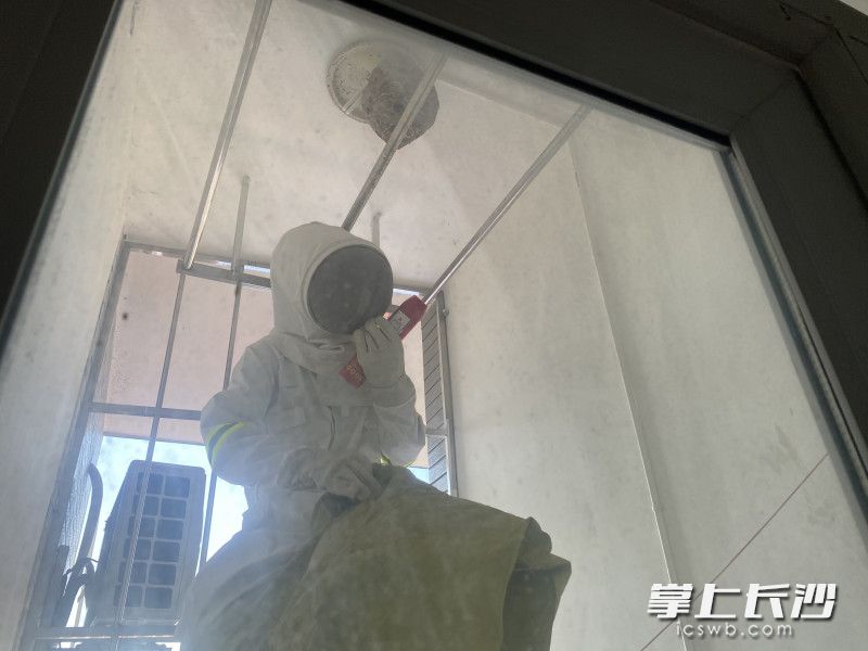 消防救援人員身穿防蜂服，為群眾摘除馬蜂窩,。均為長沙晚報(bào)通訊員 謝海鵬 供圖
