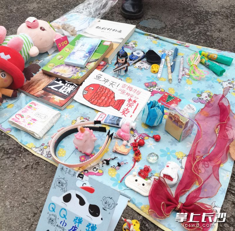 一個個風(fēng)格多樣的攤位、一張張獨具匠心的海報構(gòu)成了校園里一道道亮麗的風(fēng)景線,。均為全媒體記者 劉俊 攝