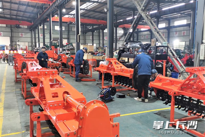在桑錸特公司生產(chǎn)車間內(nèi),，工人們正在有條不紊地作業(yè)。長沙晚報全媒體記者 張禹 攝