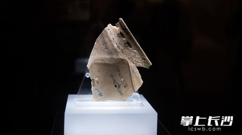 祈雨甲骨刻辭殘片（背面）