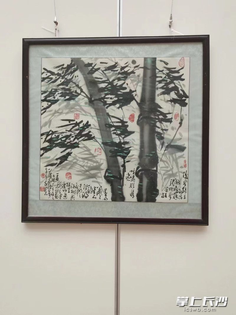 巢蔚翁書(shū)畫(huà)展舉行,。均為長(zhǎng)沙晚報(bào)通訊員 羅正坤 供圖