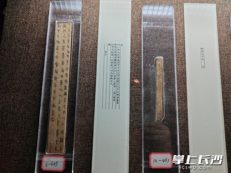 里耶古城出土秦代簡牘 黃能 攝 