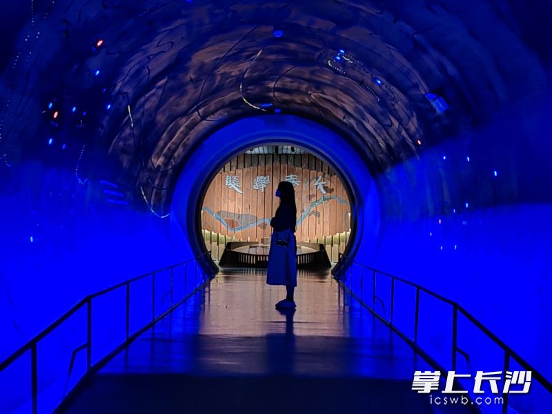 里耶秦簡博物館 黃能 攝