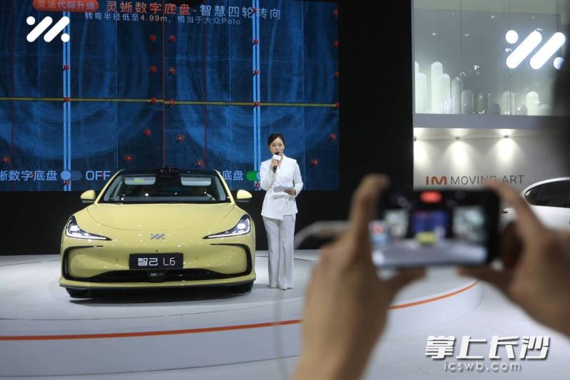 智己L6亮相湖南車展，展會期間下訂可享多項專屬權(quán)益,。