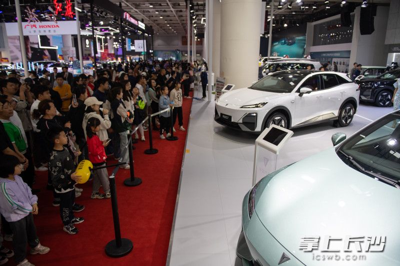 2024湖南車展人潮涌動,。  長沙晚報全媒體記者 黃啟晴 攝
