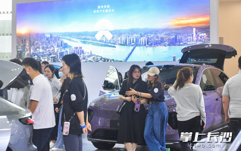 國產(chǎn)新能源車受青睞。  長沙晚報全媒體記者 鄒麟 攝