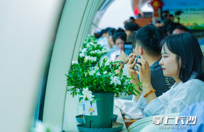 “梔香長沙”號游輪正式起航,，游船上花香四溢,。均為長沙晚報全媒體記者 鄒麟 攝