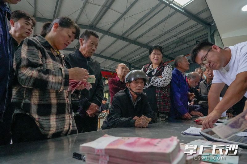 在大山深處的黑麋峰村煙筍產(chǎn)業(yè)化基地，百余名村民集聚在這里領(lǐng)取連日來的挖筍工資,。均為全媒體記者 陳飛攝