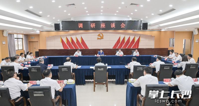 吳桂英主持召開(kāi)座談會(huì)。  均為長(zhǎng)沙晚報(bào)全媒體記者 余劭劼 攝
