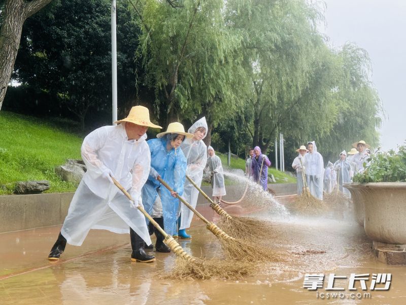 800多人火力全開(kāi),，10個(gè)小時(shí)即完成橘子洲清淤工作,。均為受訪者供圖