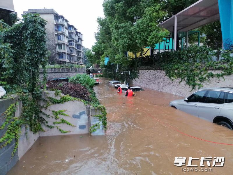 民警用救生繩救援被困人員,。  均為長(zhǎng)沙晚報(bào)通訊員譚怡里供圖