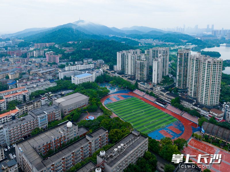 長沙教育名校扎堆,，已成為越來越多人選擇留在長沙,、扎根長沙的原因。 長沙晚報全媒體記者 鄒麟 攝