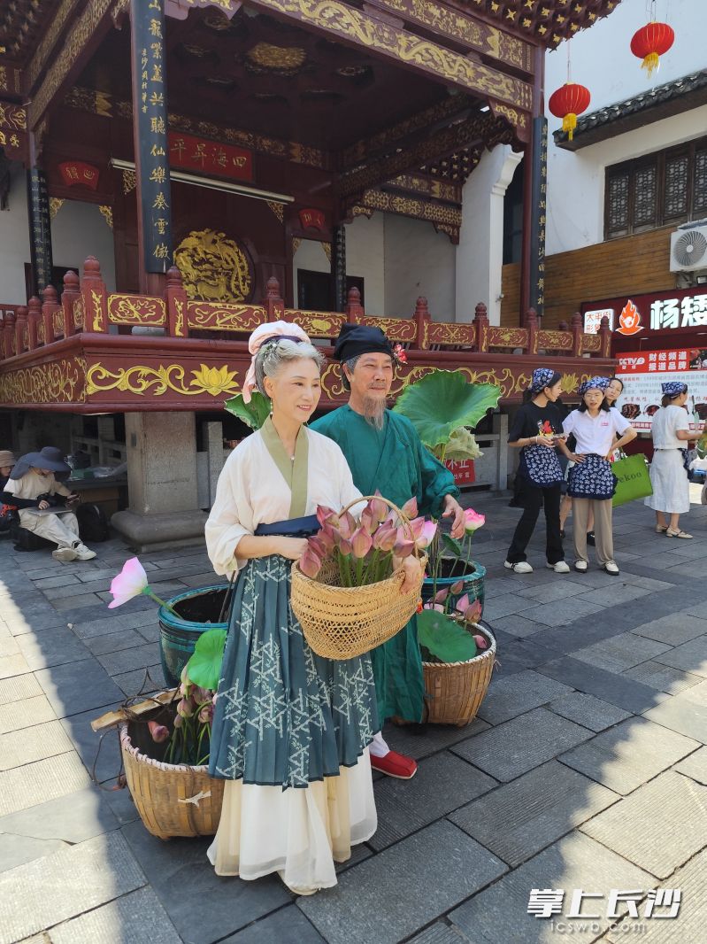 快閃活動(dòng)中，兩位老人給市民游客送荷花,。