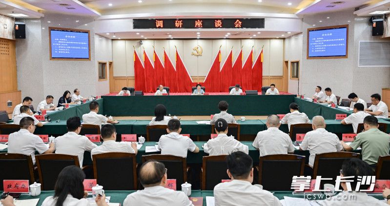 吳桂英主持召開(kāi)調(diào)研座談會(huì)。  均為長(zhǎng)沙晚報(bào)全媒體記者余劭劼攝