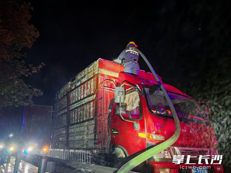 經(jīng)過(guò)15分鐘的“沖涼”,，貨車上的雞群逐漸從高溫中緩解過(guò)來(lái),。長(zhǎng)沙晚報(bào)通訊員 胡宇波 供圖