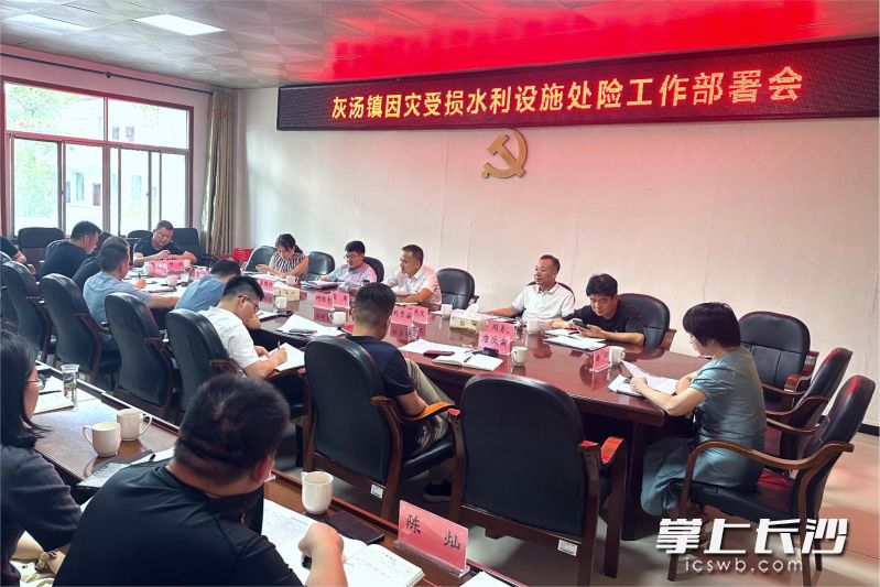 寧鄉(xiāng)灰湯鎮(zhèn)組織召開因災(zāi)受損水利設(shè)施處險工作部署會,，有效保障下半年糧食安全生產(chǎn)。均為受訪方供圖