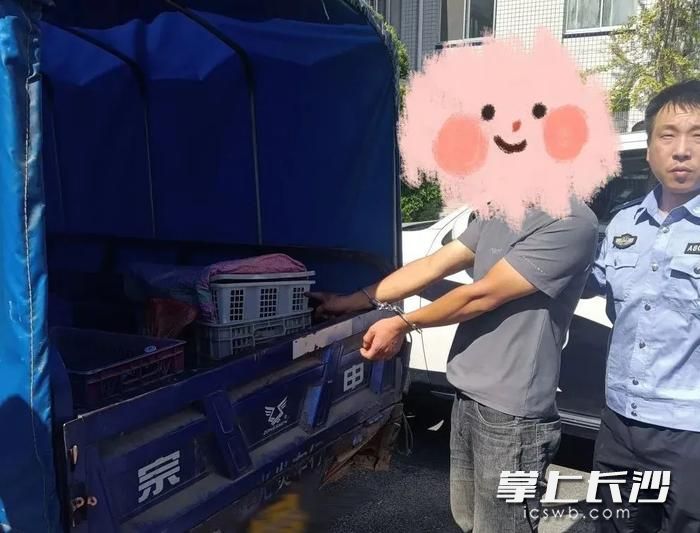 嫌犯陳某被公安部門刑事拘留,。警方供圖