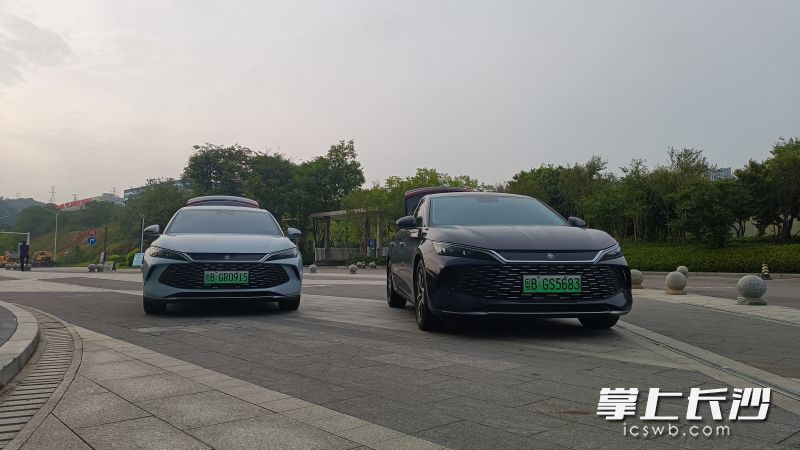 此次在長(zhǎng)沙參與油耗實(shí)測(cè)的都是已上市的量產(chǎn)車。 長(zhǎng)沙晚報(bào)全媒體記者 曹開陽 攝