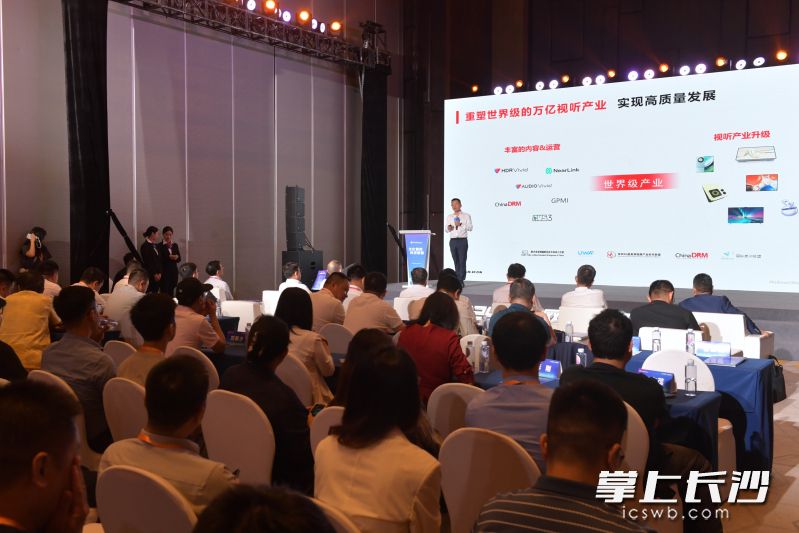 2024互聯(lián)網(wǎng)岳麓峰會(huì)主題論壇之一的“文化智核 科技新篇”主題論壇在長沙舉行。長沙晚報(bào)全媒體記者 王志偉 攝