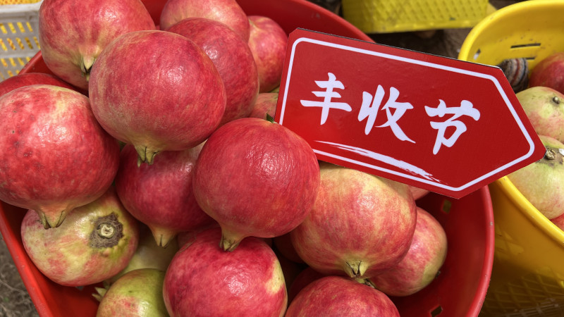 受益于拼多多“百億減免”,，很多農(nóng)貨商家年省數(shù)十萬費(fèi)用,。杜佳 攝